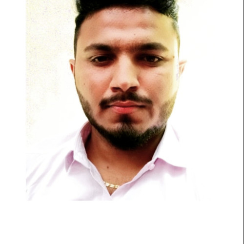 Meet P. profile photo