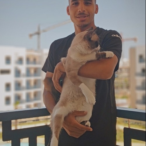 Abdelillah M. profile photo