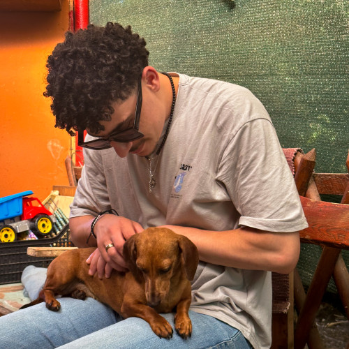 Sofiane C. profile photo