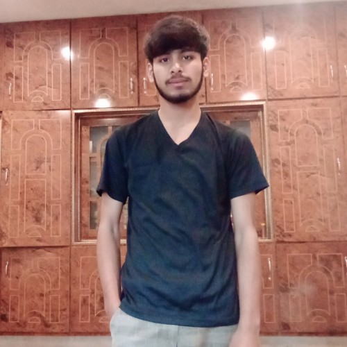 Mehmood S. profile photo