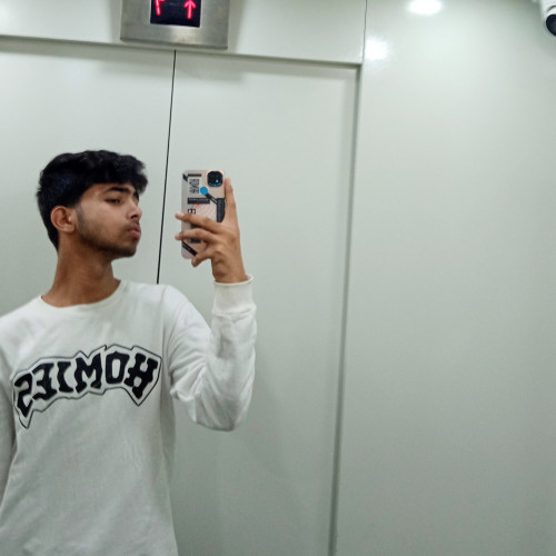 Zayn  M.