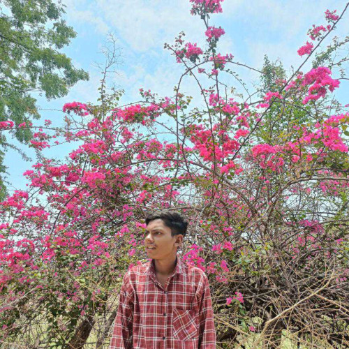 Rohith r. profile photo