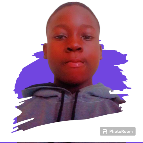 David chisom  O. profile photo
