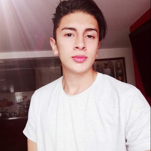 Javier Andrés  M.
