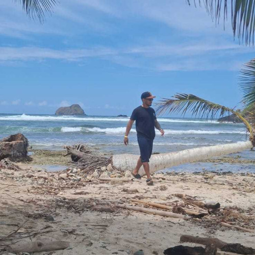 alexis c. profile photo