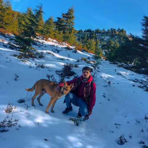 ABDELKARIM E. profile photo