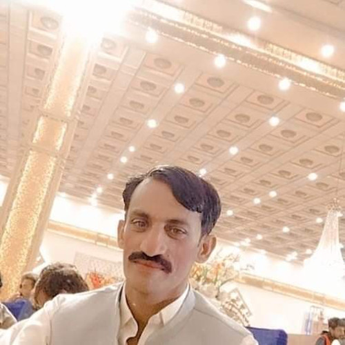 Zia A. profile photo