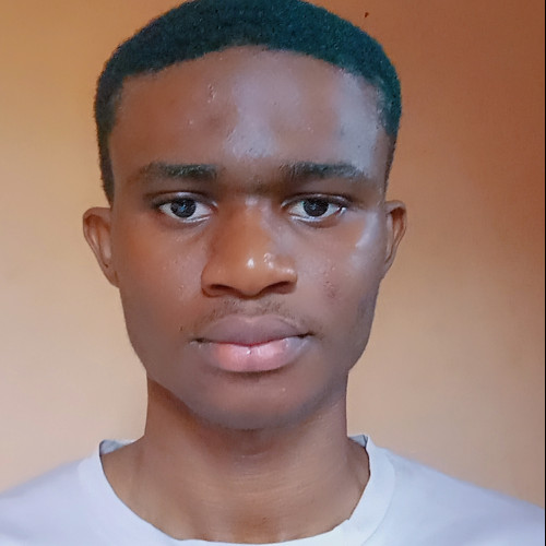 UCHECHUKWU O. profile photo