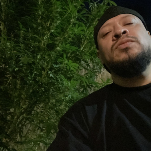 Luis M. profile photo