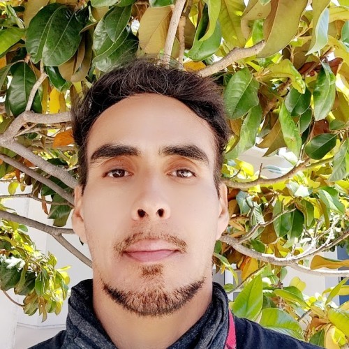 David A. profile photo