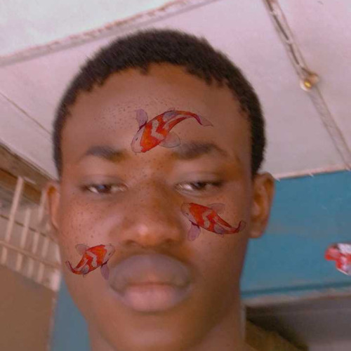 Samuel n. profile photo