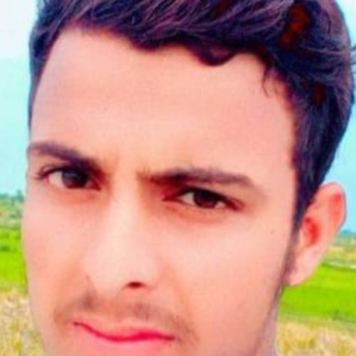 Bilawal A. profile photo