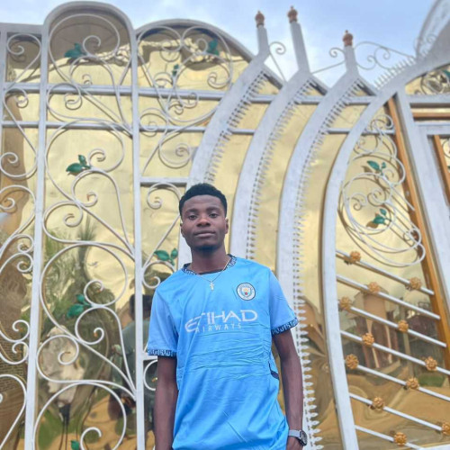 Emmanuel n. profile photo