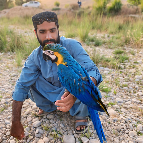 Dost A. profile photo