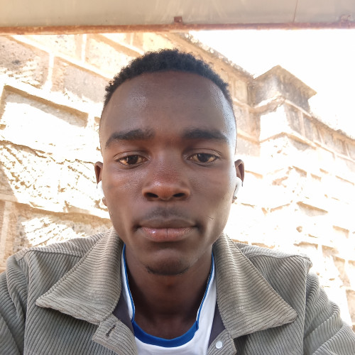 Shilton N. profile photo