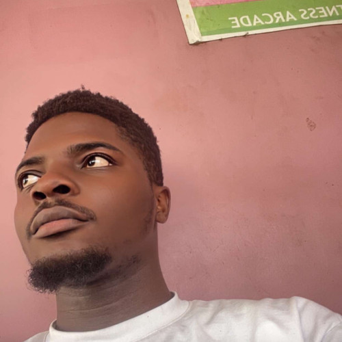 Oluwajuwon  E. profile photo