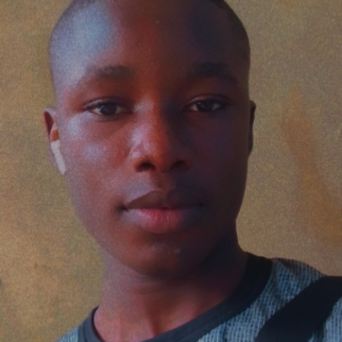 Oyedemi E. profile photo