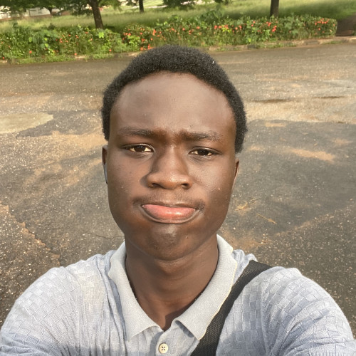 Opeyemi A. profile photo
