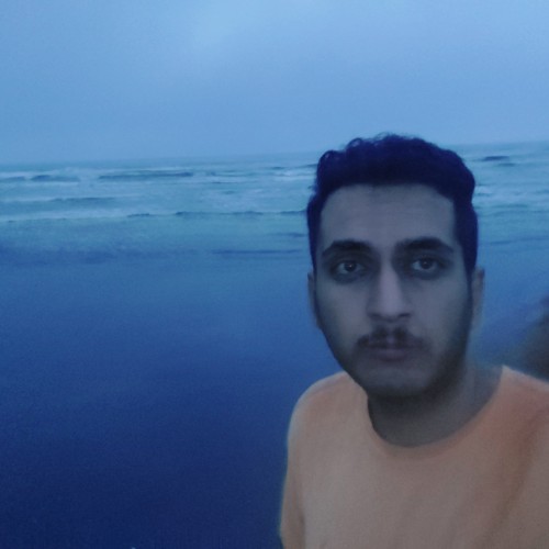 Ali H. profile photo