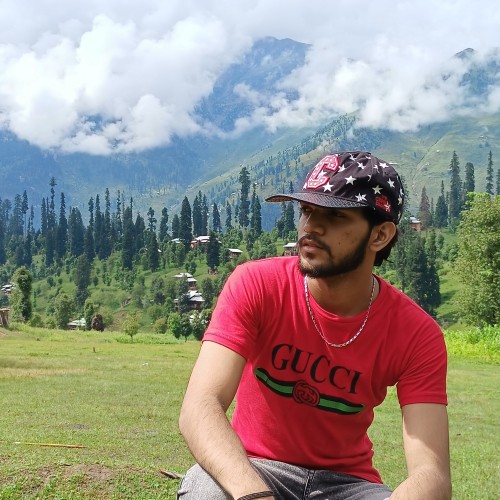 M.Sarfraz S.