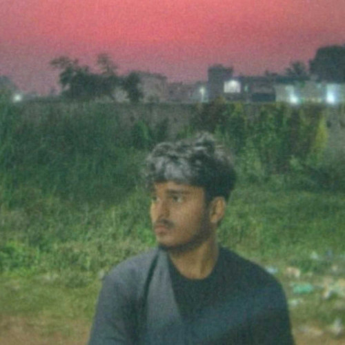 ali k. profile photo