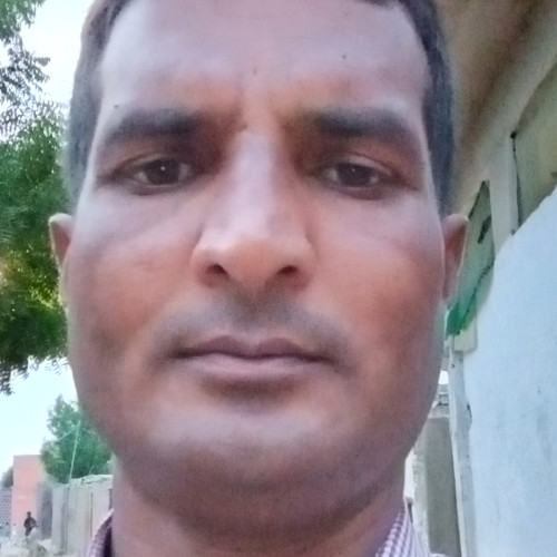 Shakeel M. profile photo