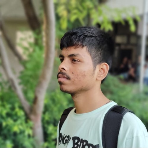 Ravi P.