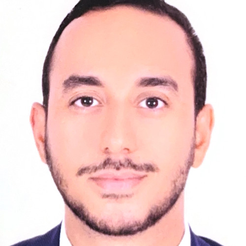 Mehdi A. profile photo