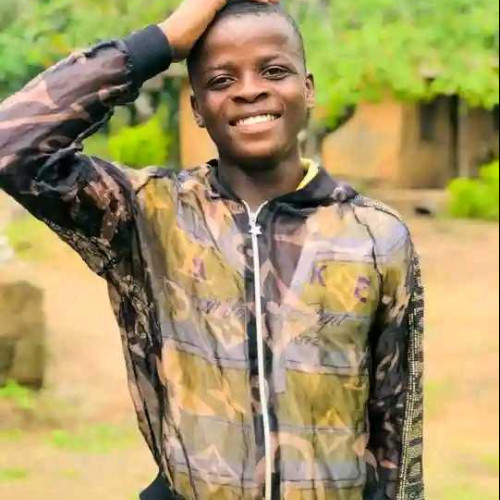 ifeanyi Michael e. profile photo