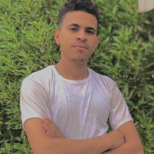 Hicham A.