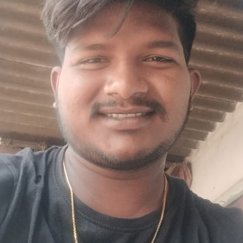 bhanu p.