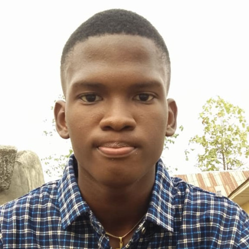 Onwuagba  B. profile photo