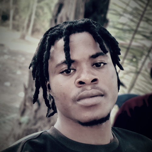 ifeanyi E. profile photo