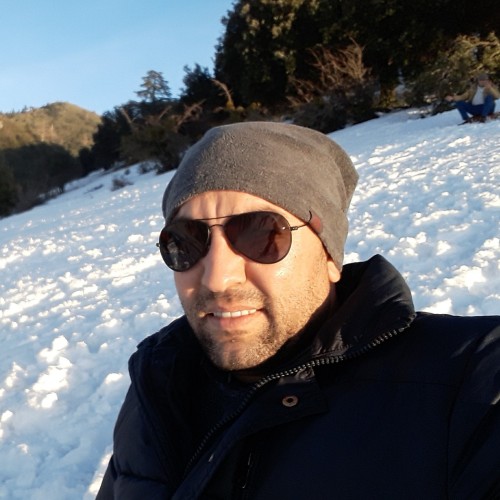Amine N. profile photo