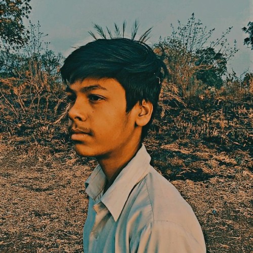 VIKESH C.