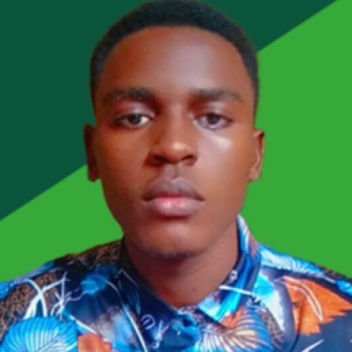 Nwawuisi  M. profile photo