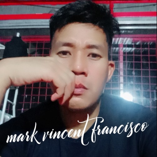 mark Vincent  F. profile photo