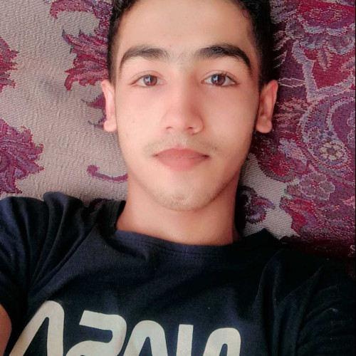 Hamed H.