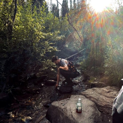 William C. profile photo