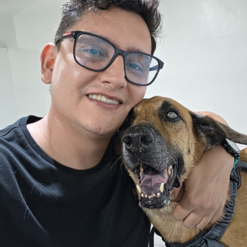 Daniel B. profile photo