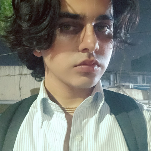 Bhumik V. profile photo