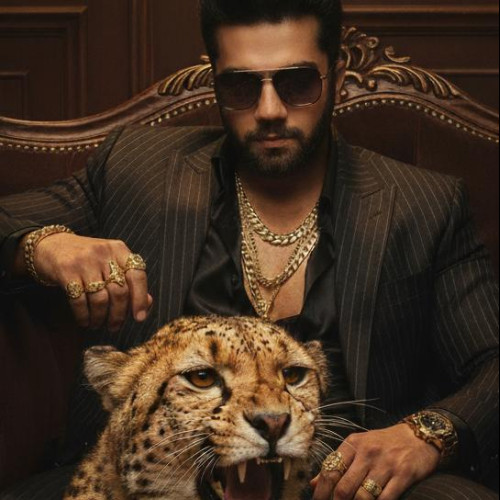 Mohit D. profile photo