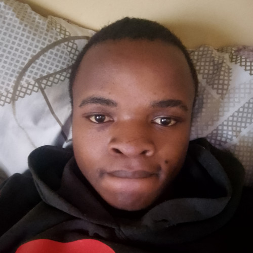 Brian N. profile photo