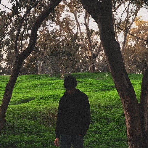 massine S. profile photo