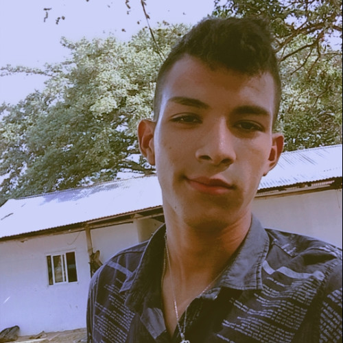 Jhan  V. profile photo