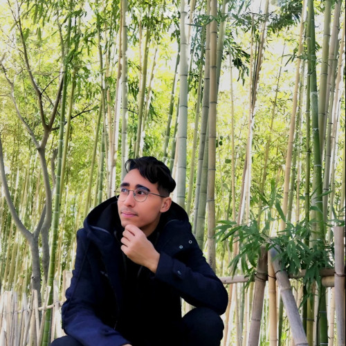 Mohamed R. profile photo