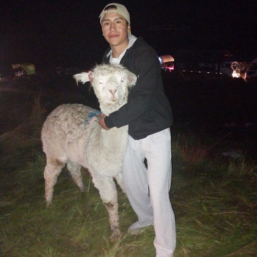 chamakito q.