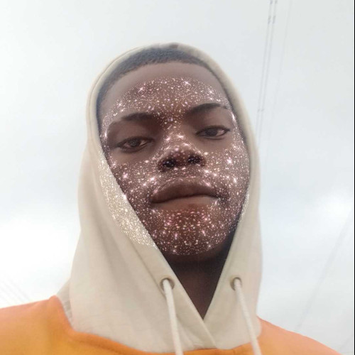 Olamiposi O. profile photo