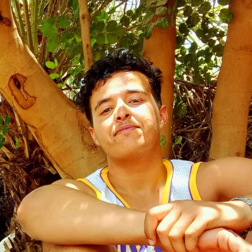 Ayoub A.