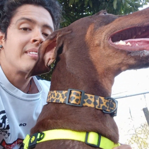 Gerardo V. profile photo